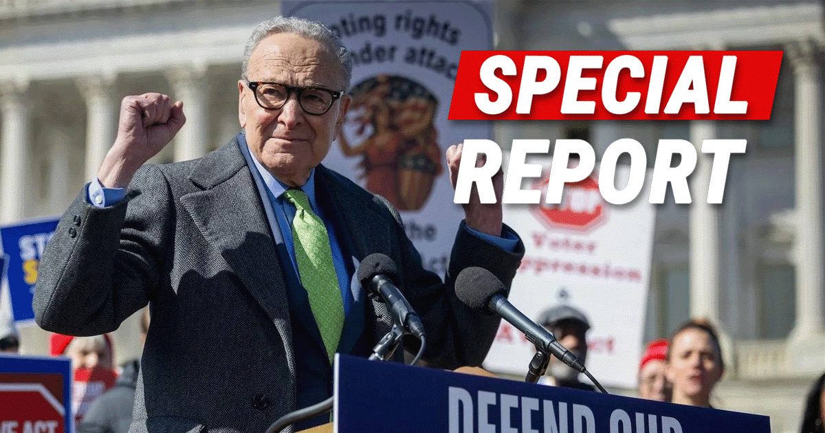After Trump Demands Voter Protections in Speech – Democrats Issue 1 Insane Reply